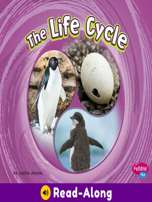 cover image of The Life Cycle